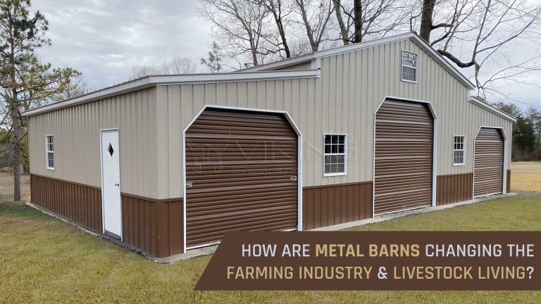 How are Metal Barns Changing the Farming Industry and Livestock Living?