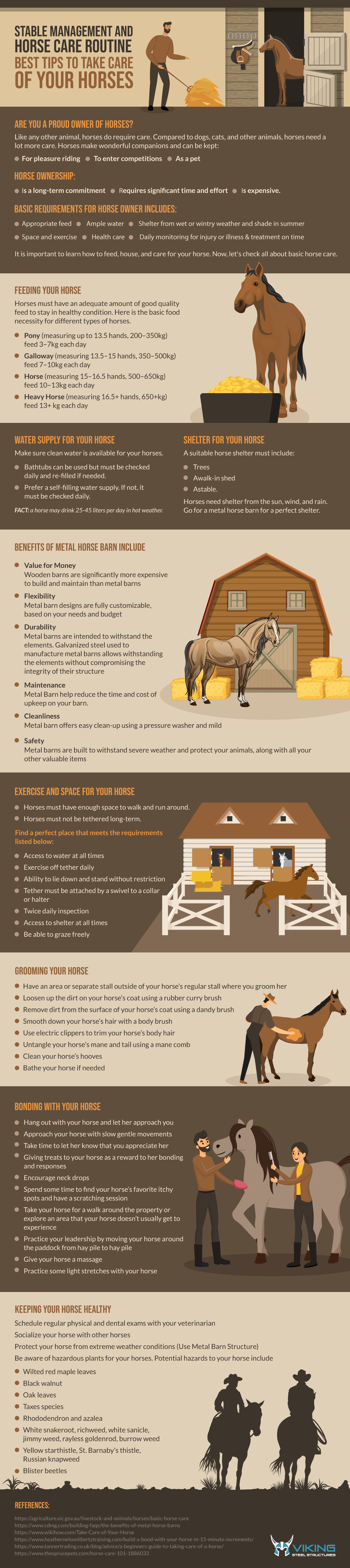 Stable Management and Horse Care Routine Best Tips to Take Care of